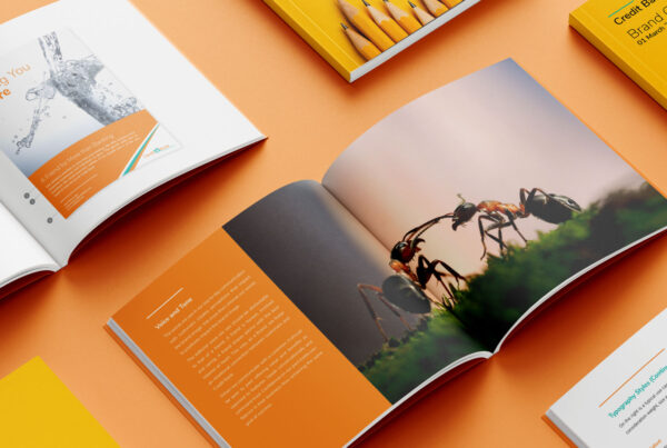 Design and Development of Brand Standards/Guidelines for Businesses